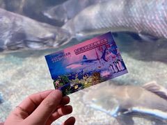 -太平洋海底世界