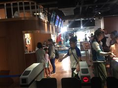 -东京塔海贼王主题公园