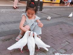 -王府井奥莱临潼小镇(临潼店)