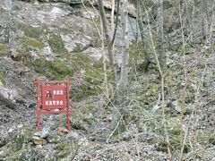 -牛背梁国家森林公园