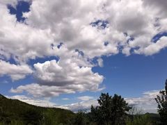 -北京西山国家森林公园