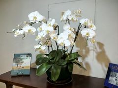 -明湖楼·经典鲁菜山东海鲜(大明湖店)