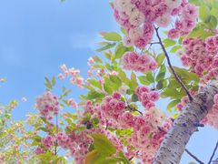 -塘沽森林公园