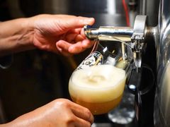 -大聖·精酿啤酒&火烧鸡(市南路店)