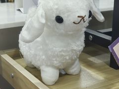 -舞蕾舞蹈(特长生校区)