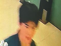 -绿树电竞(五路店)