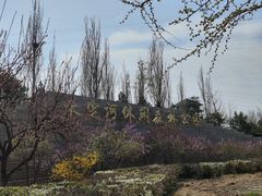 -永定河休闲森林公园