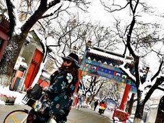 -北京国子监胡同