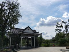 -映月湖公园