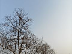 -良渚文化村