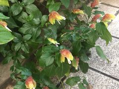 -默迹咖啡馆