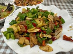 尖椒肥肠-瑜瑜饭馆