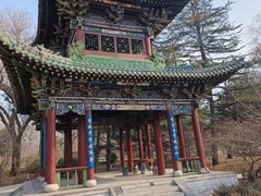 -迎泽公园