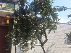 -宋太祖黄袍加身处文管所