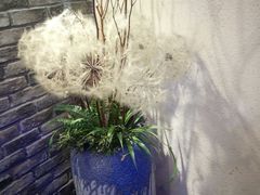 -周渝食惦酸菜鱼(青浦店)
