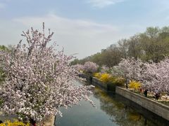 -元大都城垣遗址公园