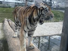 -西霞口神雕山野生动物世界