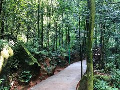 -赤水丹霞旅游区·佛光岩