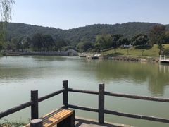 -龙寺生态园
