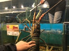 -金巴兰海鲜王