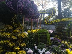 -杭州植物园