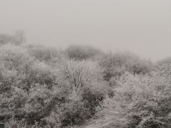 -太子岭滑雪场
