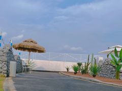 -Blue Concept Cafe&Farm·關於藍