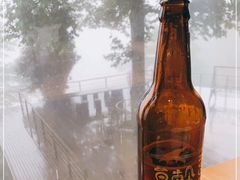 -竹光餐厅(莫干山天籁之梦日出酒店)