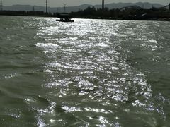 -阅海欢乐岛