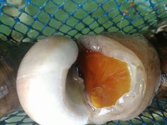 -四海鲜渔家菜(黄金海岸店)