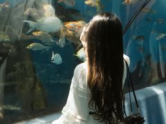-合肥海洋世界