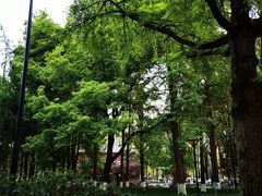 -温江公园