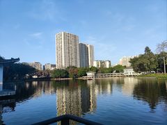 -荔湾湖公园