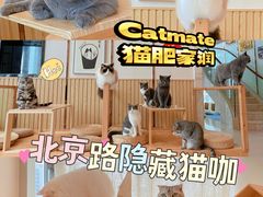 -Catmate·猫肥家润(金润铂宫店)
