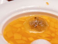 吉野樱花冻-浣花锦绣(杜甫草堂店)