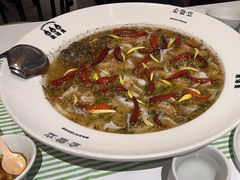 -渔语鱼新川菜Bistro(万象天地店)