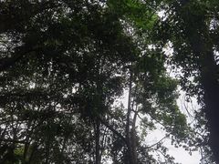 -德胜岩景区
