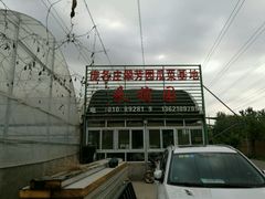 -庞各庄翠芳园西瓜蔬菜基地采摘园