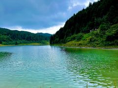 -武陵山森林公园