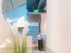 -蜜桃餐厅·伴山(绿宝广场店)