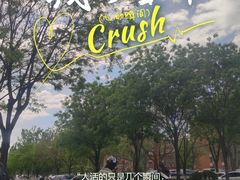 -中关村生命科学园