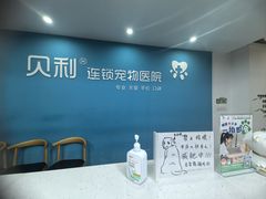 -贝利宠物医院·骨科·眼科·肿瘤转诊中心(南坪诊疗中心)