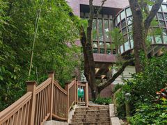 -香港大学