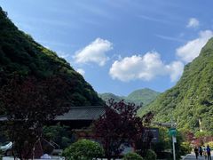 -少华山国家森林公园