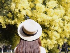 -厦门国家会计学院