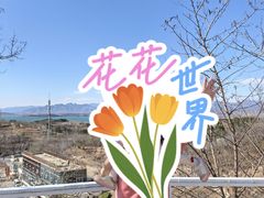 -欢乐松鼠谷