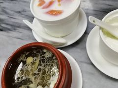 海底椰炖竹丝鸡-沙湾姜撞奶甜品店(昌岗中路店)
