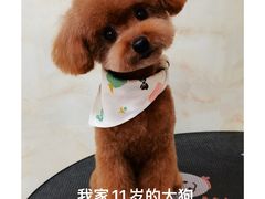 -喵汪宠物生活馆(涞坊路店)