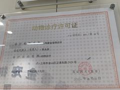 -睿金宠物医院·CT·肿瘤·骨外科