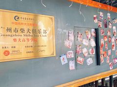 -柴犬高等学院·狗咖·柴犬售卖·宠物训练